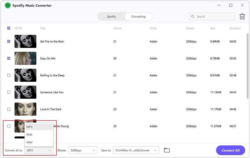 HitPaw Spotify Music Converter output format