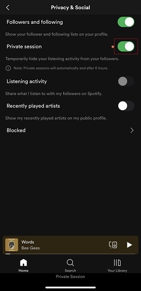 Private session on Spotify