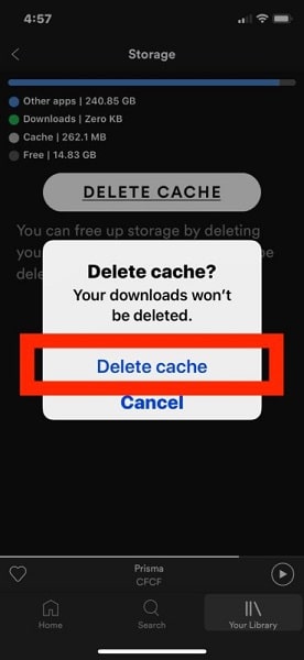 iOS delete Spotify cache