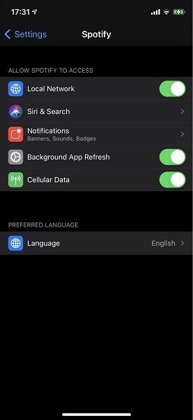 how to check app permissions to enable Spotify AI DJ feature on iOS
